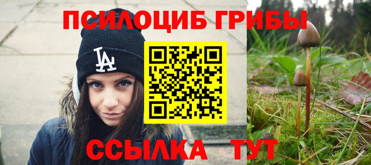 Кондопога  Галлюциногенные грибы прущие грибы  Вход с VPN 