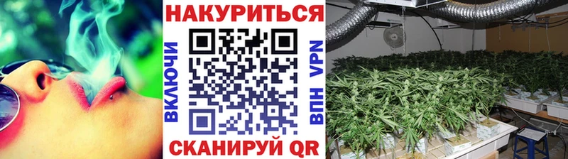 Бошки марихуана план  blacksprut онион  Кондопога  сайты даркнета наркотические препараты  закладки 
